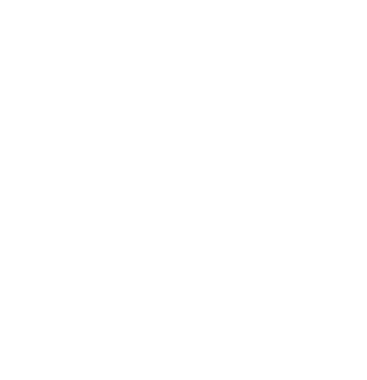 Forsythe Foundation logo